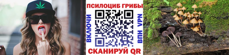 Псилоцибиновые грибы MAGIC MUSHROOMS Купить где Болгар